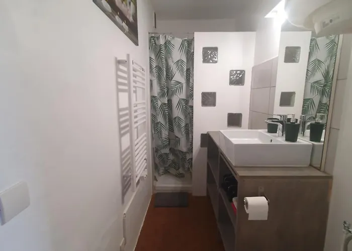 Apartment Les Palmiers Sainte-Maxime