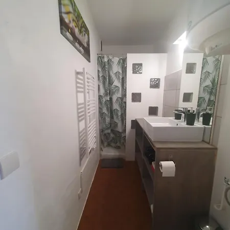 Appartement Les Palmiers Sainte-Maxime